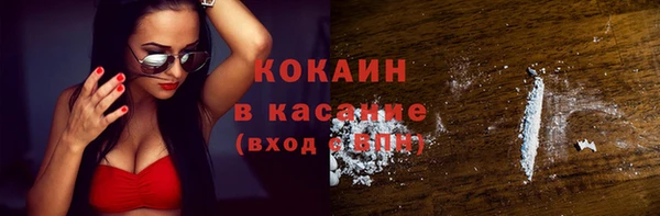 твердый Аркадак