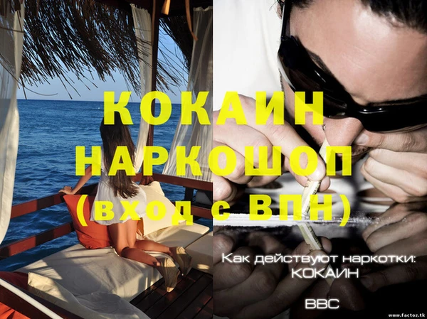 твердый Аркадак