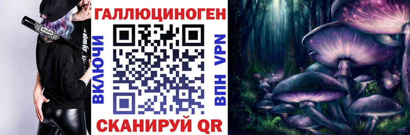 omg зеркало  где найти наркотики  Темников  Галлюциногенные грибы мицелий 