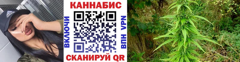 Бошки марихуана Bruce Banner  Темников 